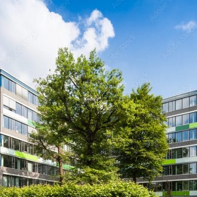 AdobeStock_79858064_Preview AdobeStock_79858064_Preview